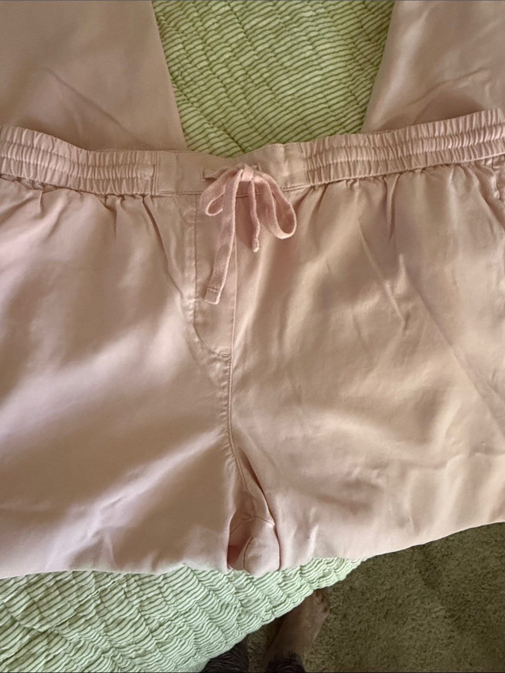 Talbots Light Pink Satin-Look Drawstring Pants